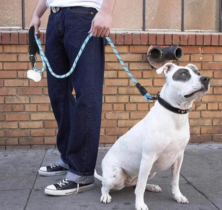 Load image into Gallery viewer, Strong Dog Walking Traction Rope - ESSMCO
