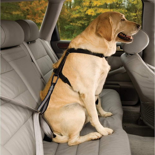 Adjustable Pet Car Seat Belt - ESSMCO