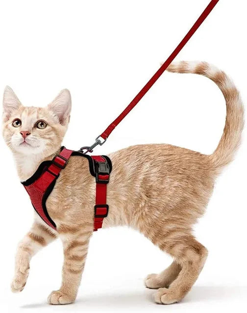 Load image into Gallery viewer, Escape Proof Cat Harness &amp; Leash Set | Adjustable Vest with Reflective Strips - ESSMCO
