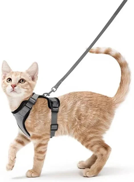 Load image into Gallery viewer, Escape Proof Cat Harness &amp; Leash Set | Adjustable Vest with Reflective Strips - ESSMCO
