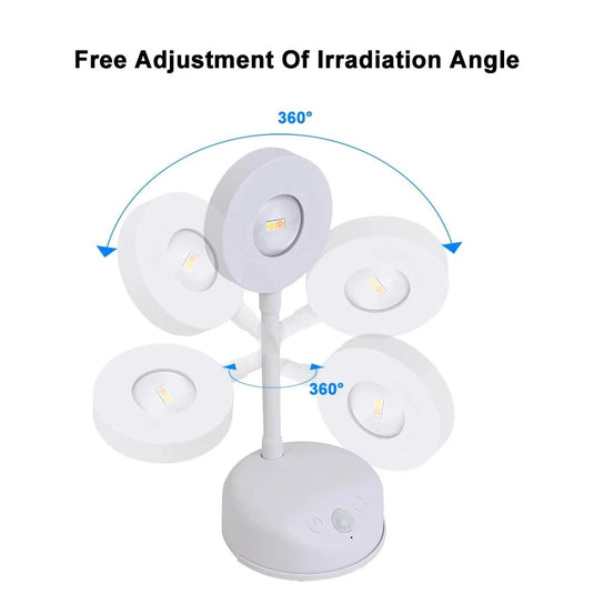 Night Light with Motion Sensing - ESSMCO